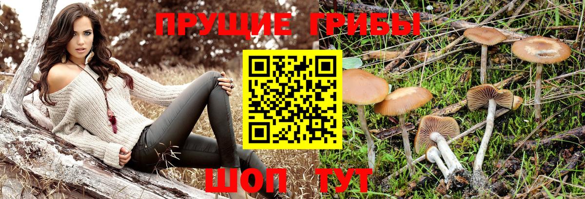 Псилоцибиновые грибы GOLDEN TEACHER Нарьян-Мар