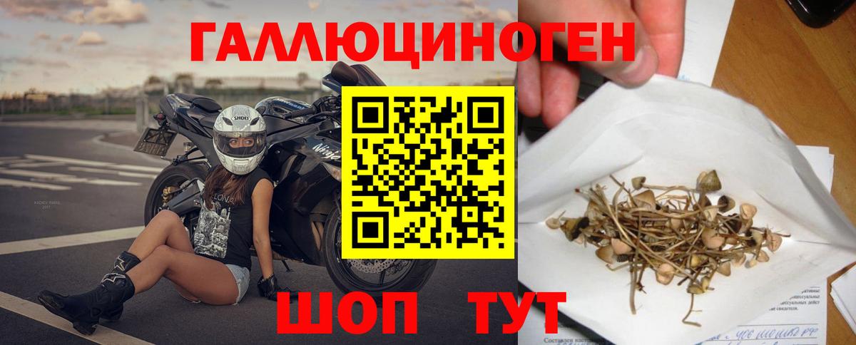 Галлюциногенные грибы Psilocybine cubensis  Вход с VPN  Галлюциногенные грибы Cubensis  Нарьян-Мар 